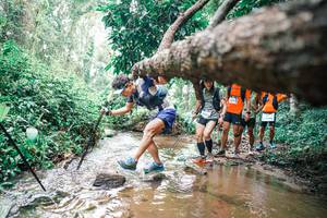 BIB: 
                            <button type="button" onclick="openModal(25372085)" class="btn btn-primary btn-sm float-right btn-popup" data-toggle="modal" data-target=".modal-high-quality">
                        <i class="fas fa-shopping-cart"></i> Add to Cart
                    </button>
                                            <button type="button" onclick="isThisMe(25372085, true)" class="btn btn-success btn-sm float-right btn-popup btn-isme hidden" data-toggle="tooltip" data-placement="bottom" title="นี่คือรูปของคุณใช่ไหม คลิกที่นี่เพื่อเอาเข้าอัลบั้ม">
                        <i class="fas fa-plus"></i> Add to album
                    </button>
                    <button type="button" onclick="isThisMe(25372085, false)" class="btn btn-warning btn-sm float-right btn-popup btn-isnotme hidden">
                        <i class="fas fa-ban"></i> Remove from album
                    </button>